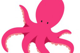 Programa Pulpo